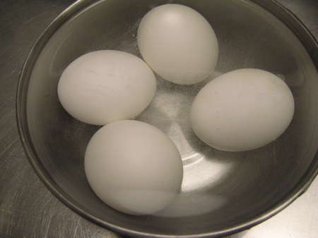 warmeggs.jpg