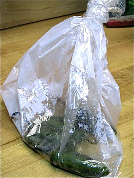 bag-steam.jpg