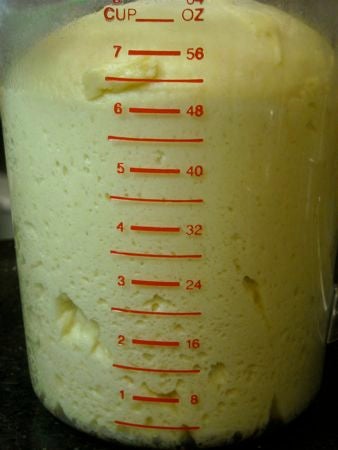 dough doubled