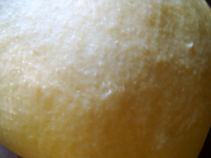 3-DSCN1731