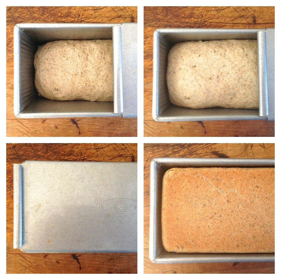 rye1
