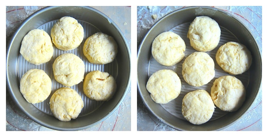 biscuitsboth