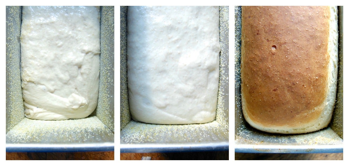 Adding Sourdough to a Recipe via @kingarthurflour