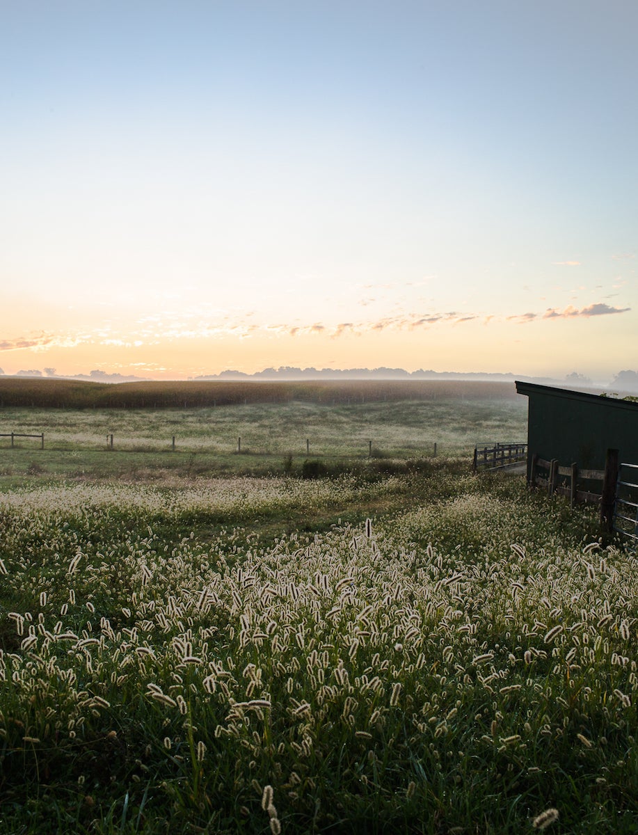 My mother's farm via @kingarthurflour