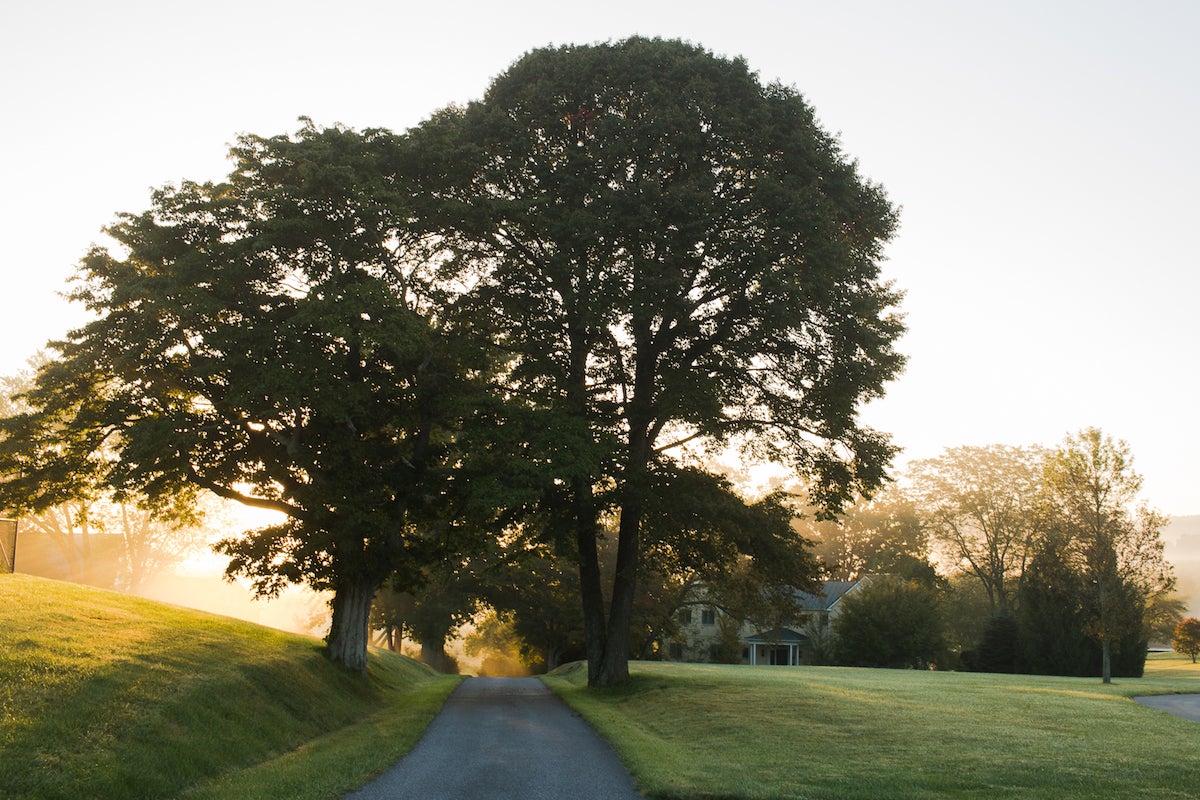 My mother's farm via @kingarthurflour
