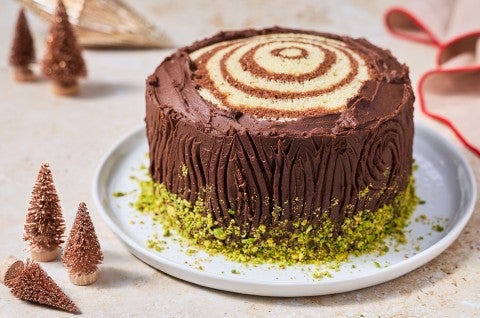 Souche de Noël cake showing a sculpted chocolate frosting to appear as a tree stump with pistachio around the base to mimic moss. - select to zoom