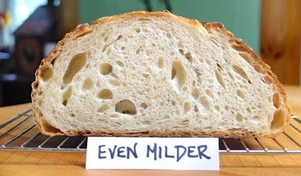 Loaf of mild-flavored sourdough bread cut crosswise to show the loaf's crumb.